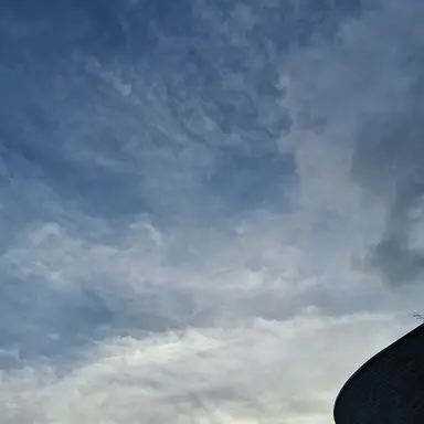 Profile image of 여우