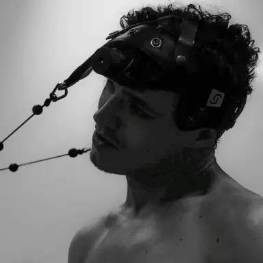 Profile image of Lando Norris