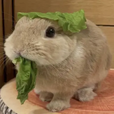 Profile image of 선생님