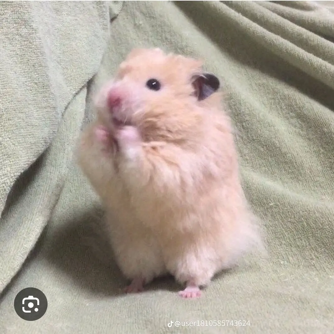 FoulVideo2592의 한지성