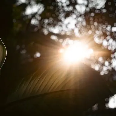 Profile image of 배진솔