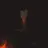 Noctemort