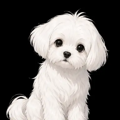 Profile image of Tsunppang