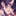 ザイラ
