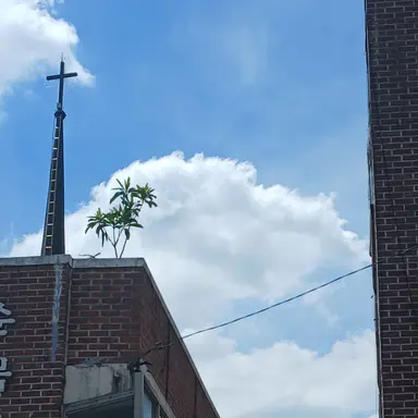 Profile image of 수현