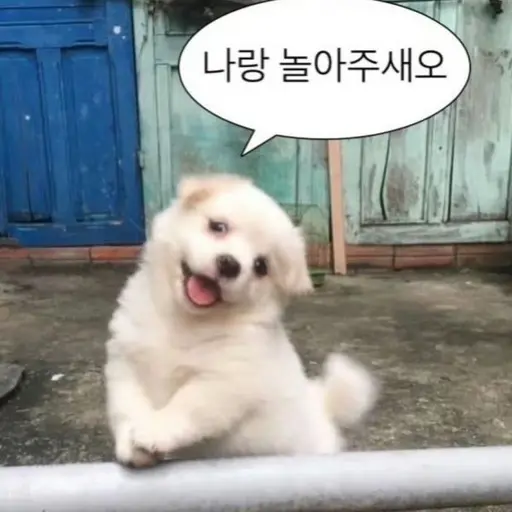 IvoryDuck5393의 김선우