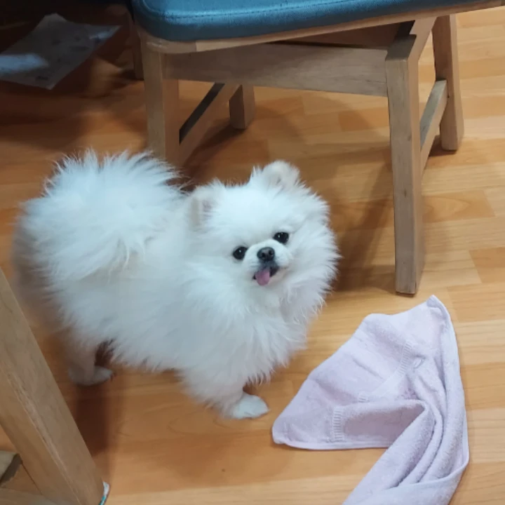 다른팀구름이