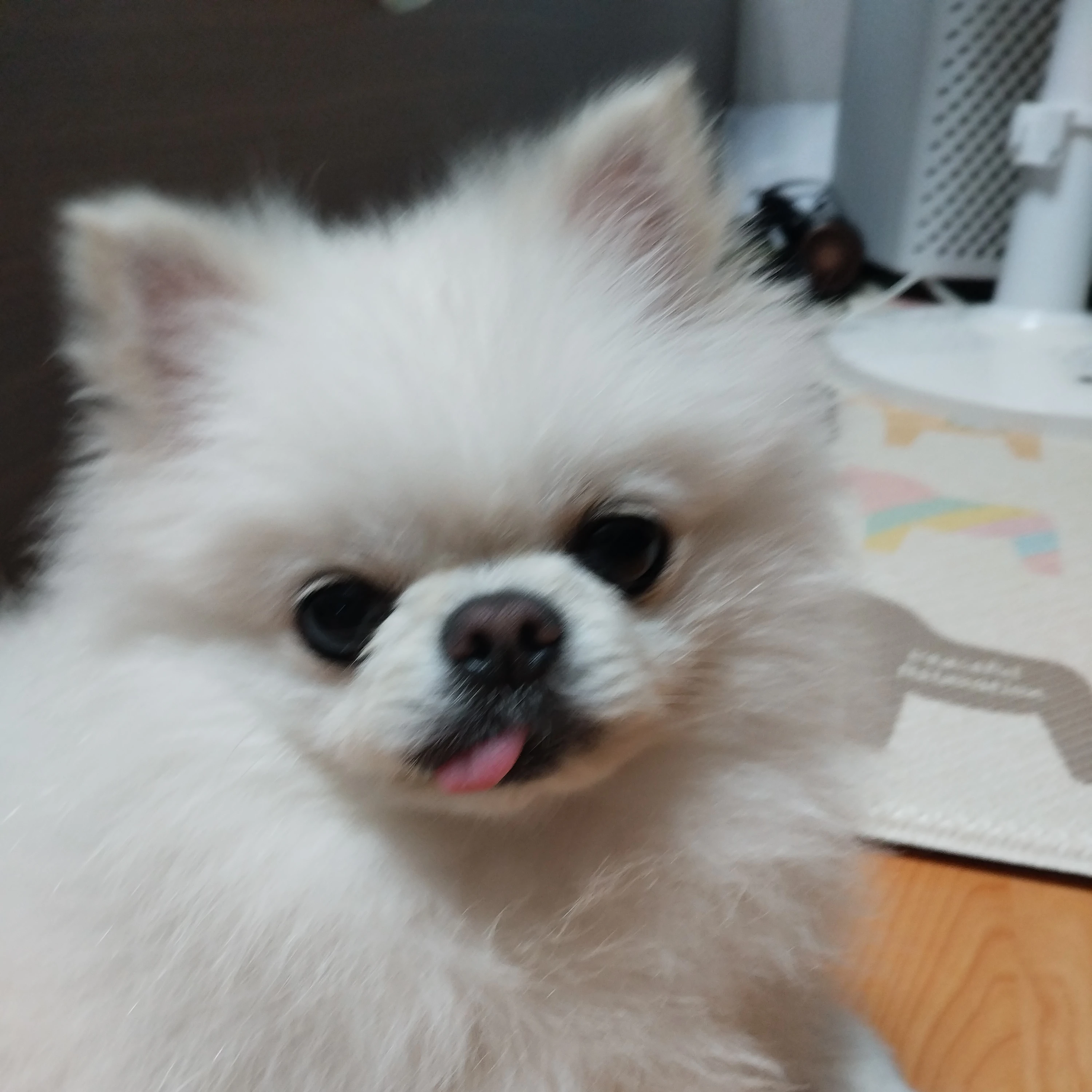 경찰구름이