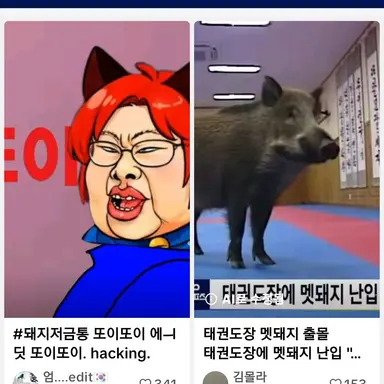 Profile image of 띠끼 추종자 1