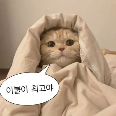 Profile image of 선생님