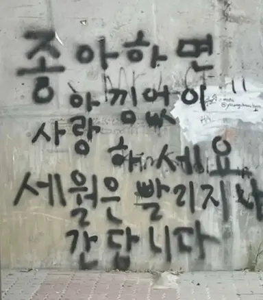 Profile image of 엘 로우라이트