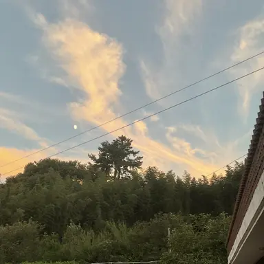 Profile image of 나카모리 간조