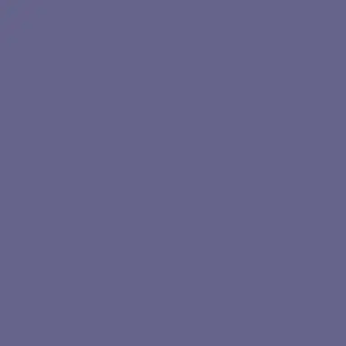 Profile image of Y