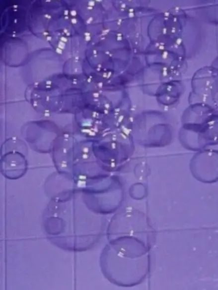 Spica____o0의 本命にしてください。