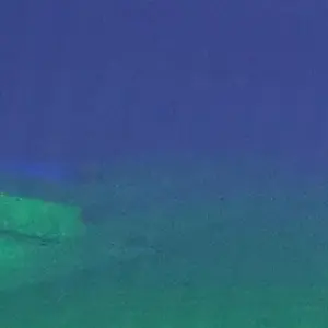 Profile image of 1엑스