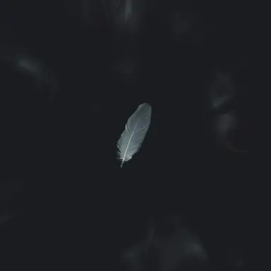 Profile image of 장 피에르 폴나레프