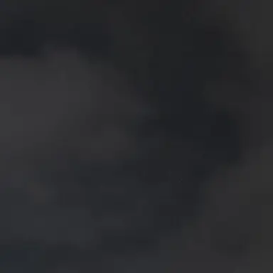 Profile image of 真人