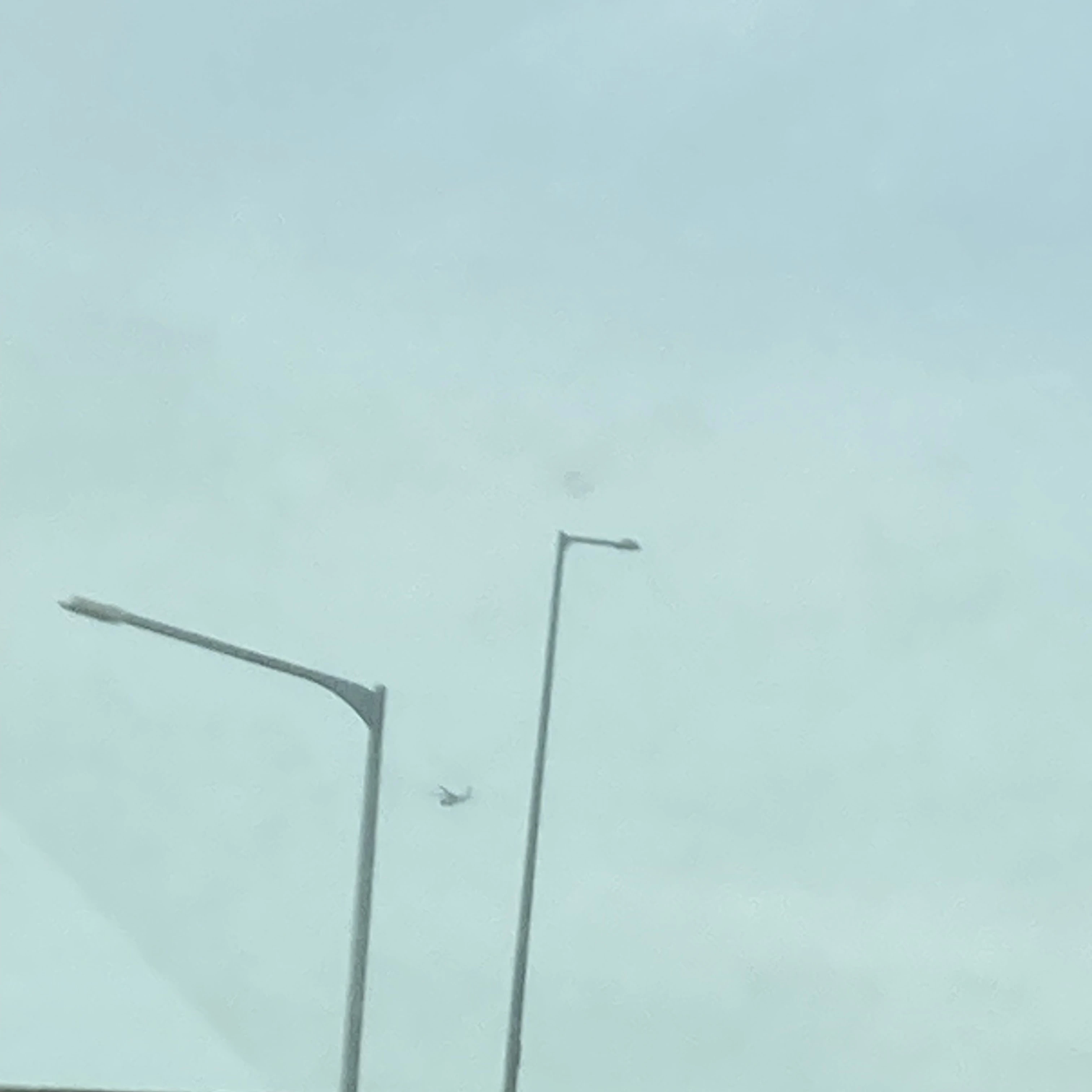 안농