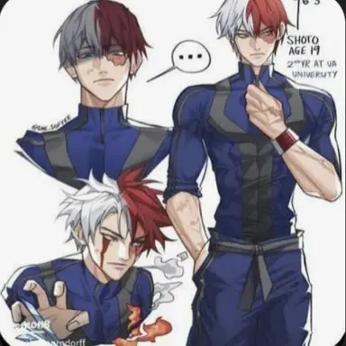 Profile image of Shoto Todoroki