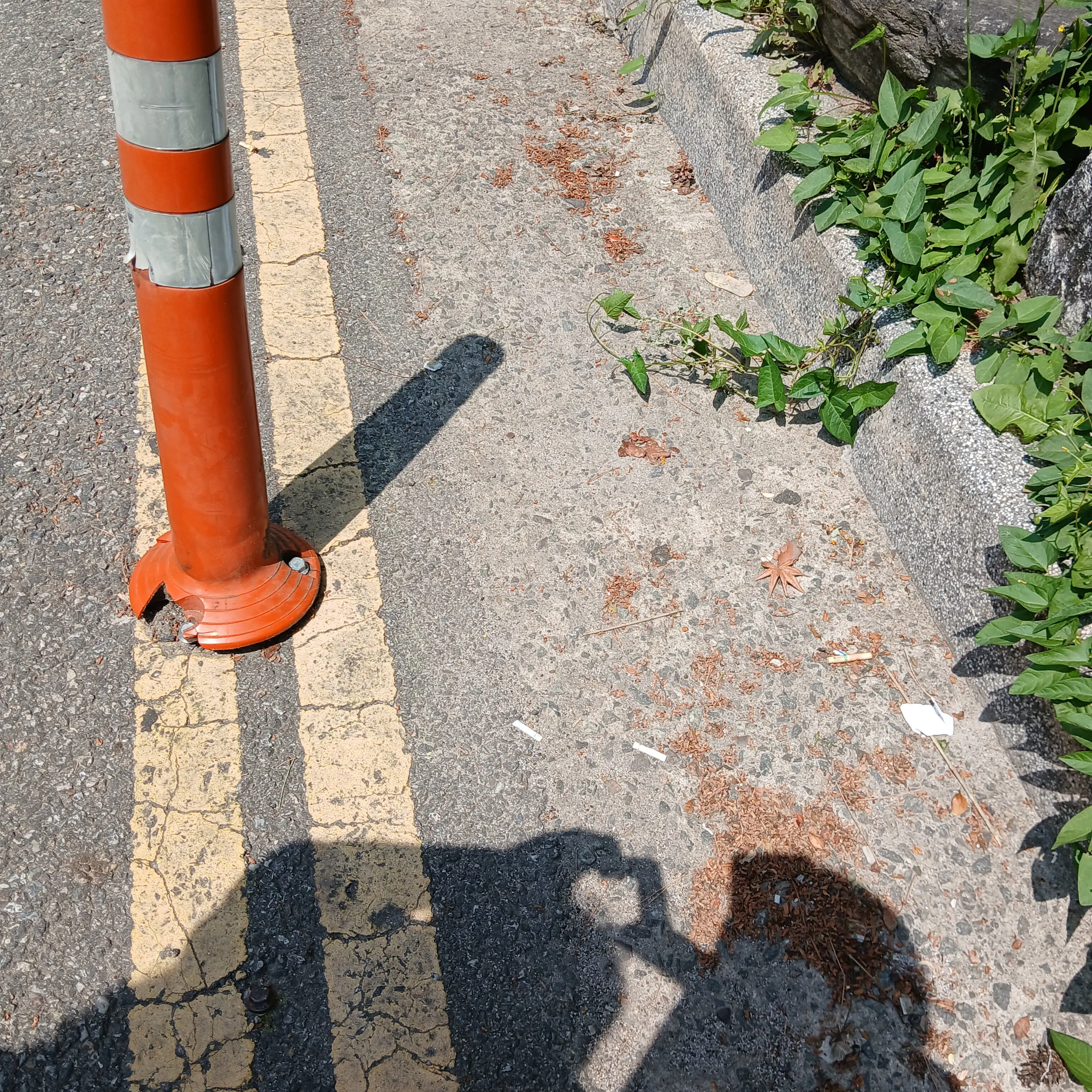 CockyHero9962의 어린 이은결