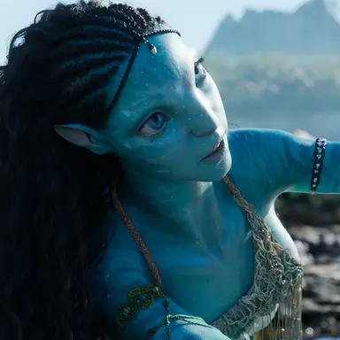 Profile image of 츠이레야