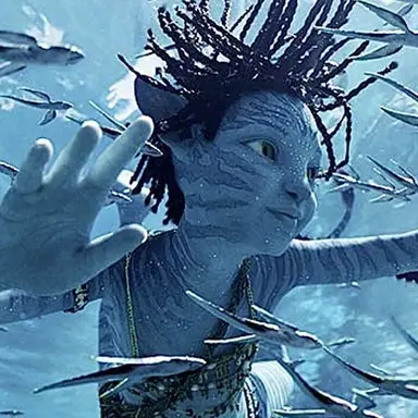 Profile image of 투크티리