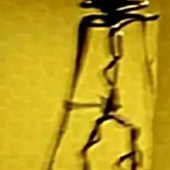 Profile image of Level 0