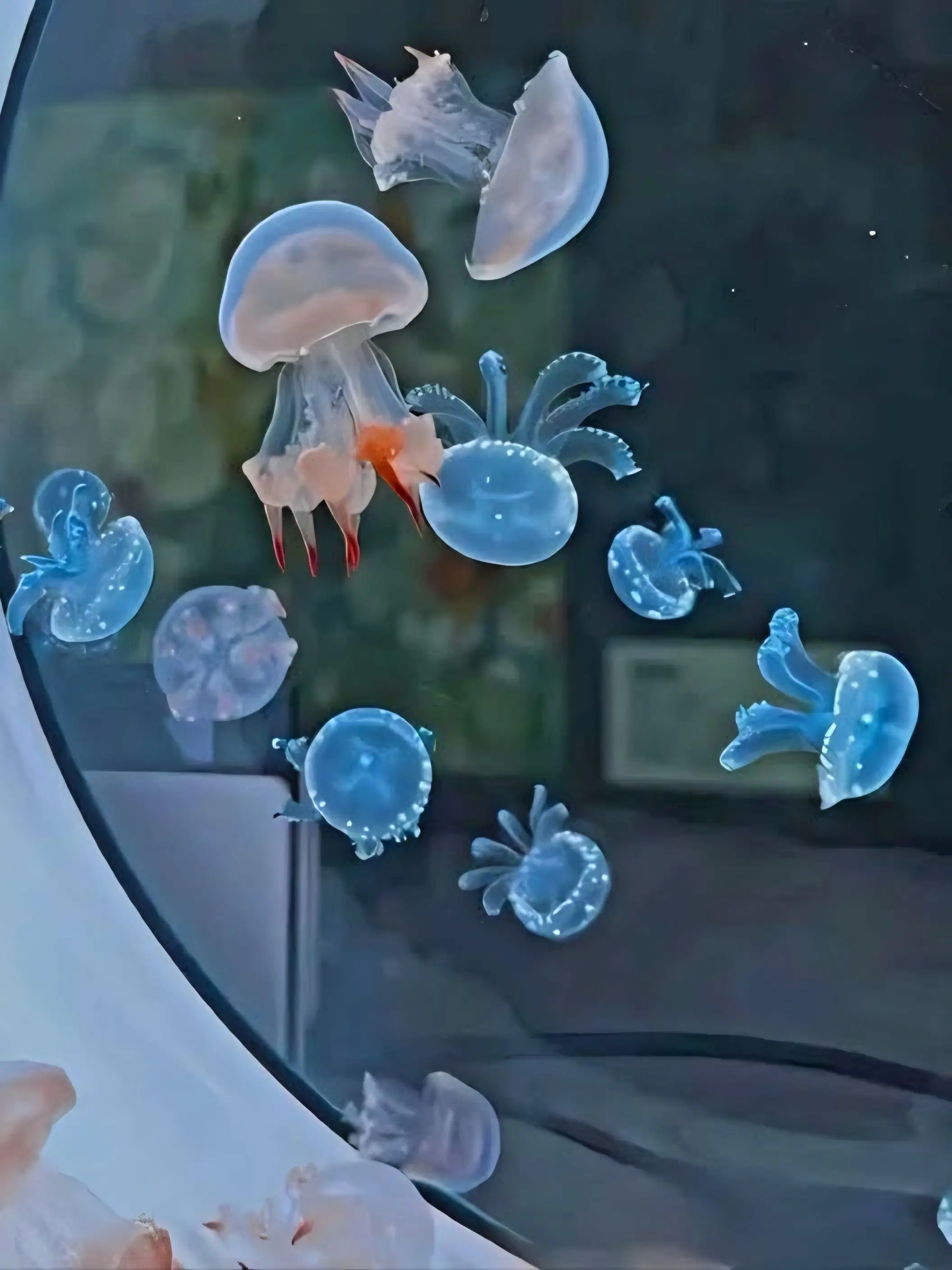 mun_z의 My complex is-