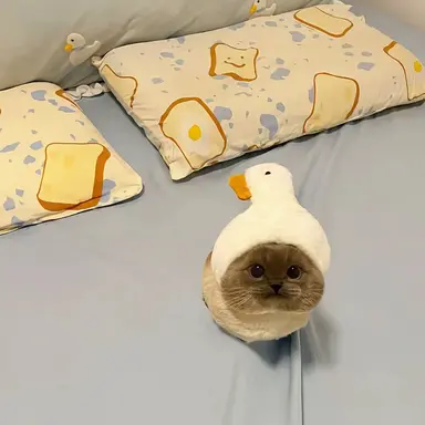 Profile image of 천슈런