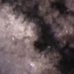 Profile image of 조민경