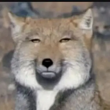 Profile image of 여우