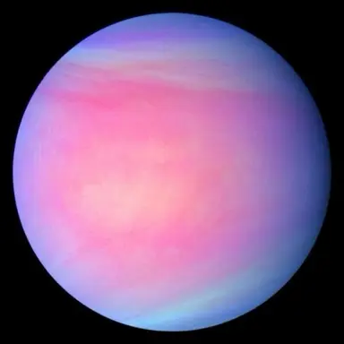 Profile image of Elite Cyber
