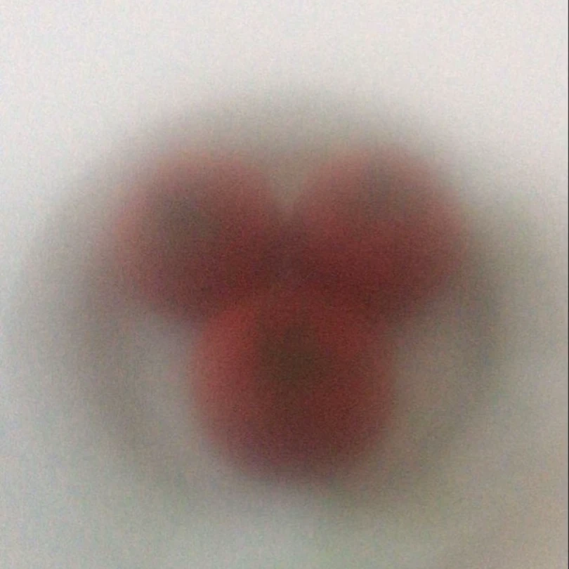 정형돈