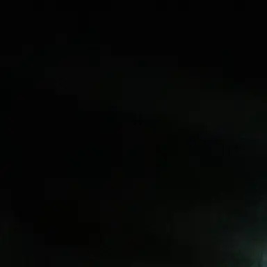 Profile image of 이수진