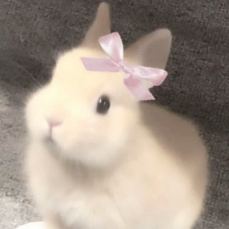 료미