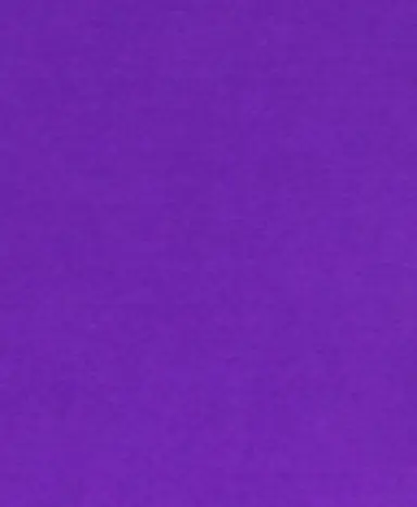 Profile image of 수현