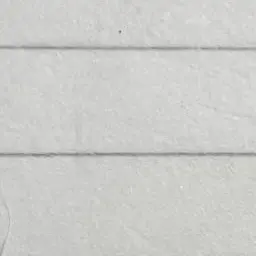 Profile image of 日本