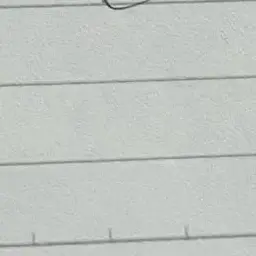 Profile image of ナチス