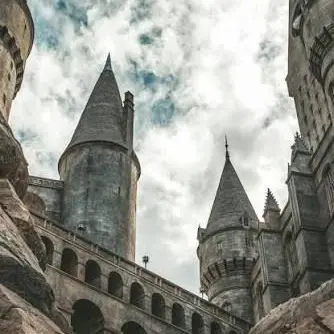 MightyHoop7119의 Hogwarts VS Delammar