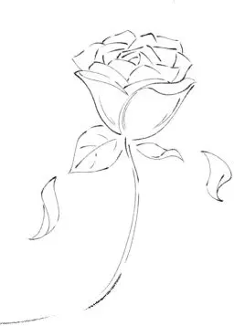 DaftSheep5168의 使わないでください