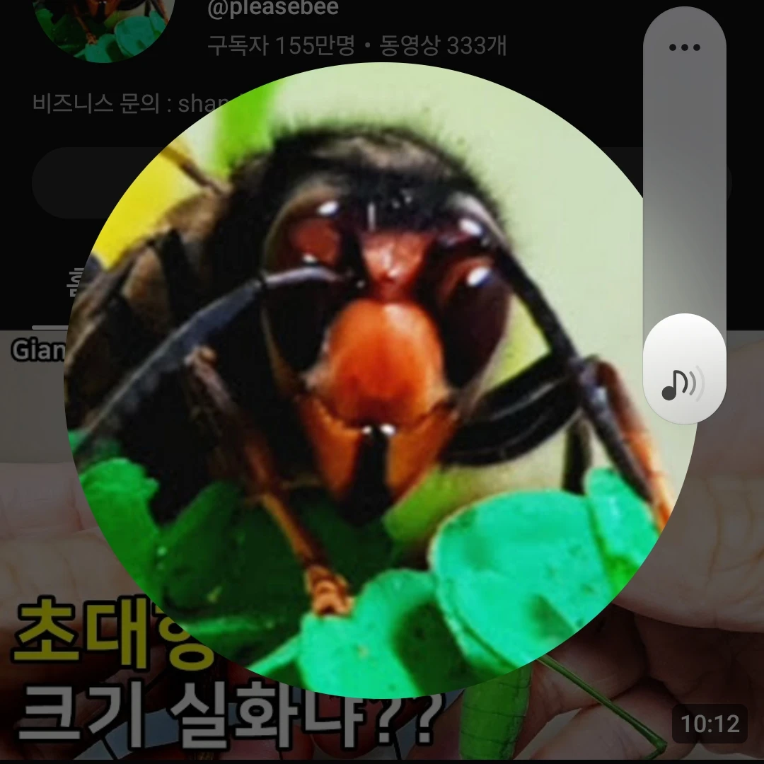 레인지