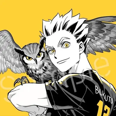 Profile image of Bokuto