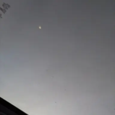 Profile image of 코쵸우 카나에