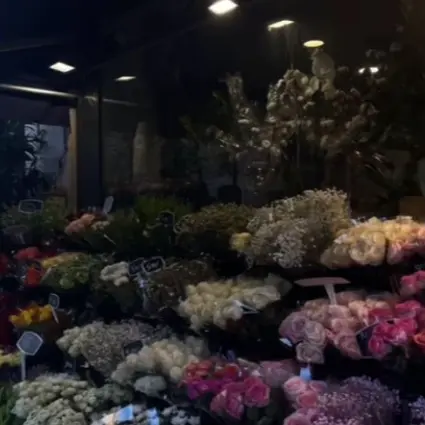 RunnyFloor7809의 記憶喪失