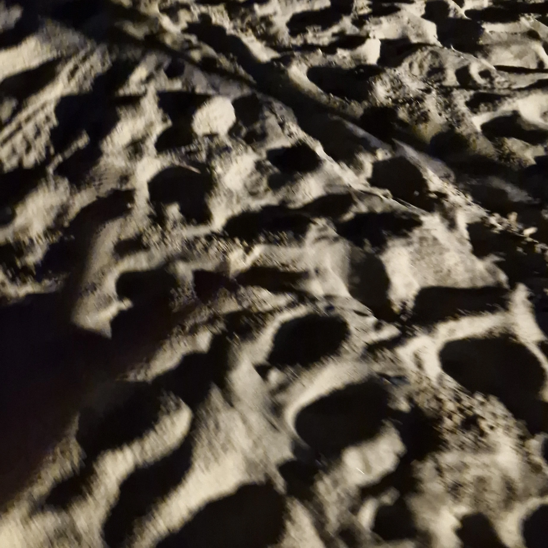 보넥도