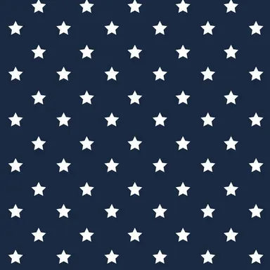 Profile image of ヒスナ