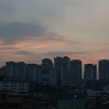 Profile image of 늑대