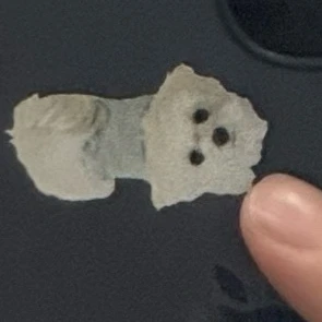 김동현
