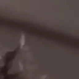 DarkSwipe9000의 이지훈