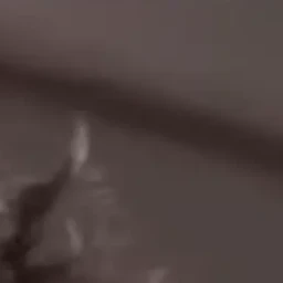 이지훈